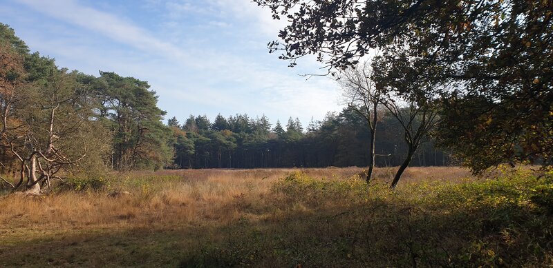 Natuurgebied Appelbergen